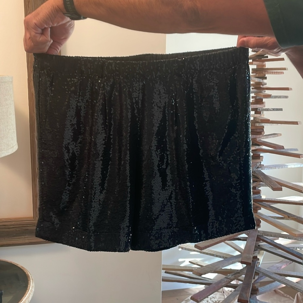 Sequin Sachin + Babi Shorts